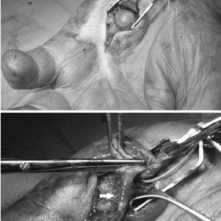 Francesco De Santis-10