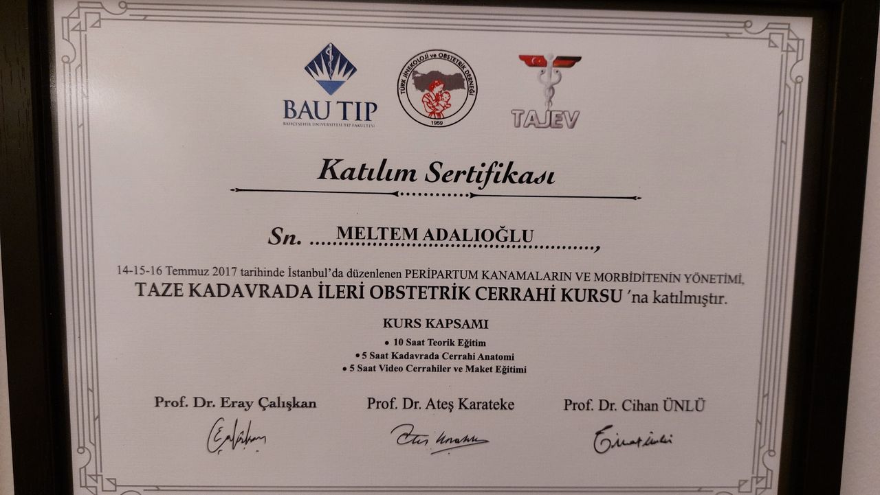 Medine Meltem Adalıoğlu-12