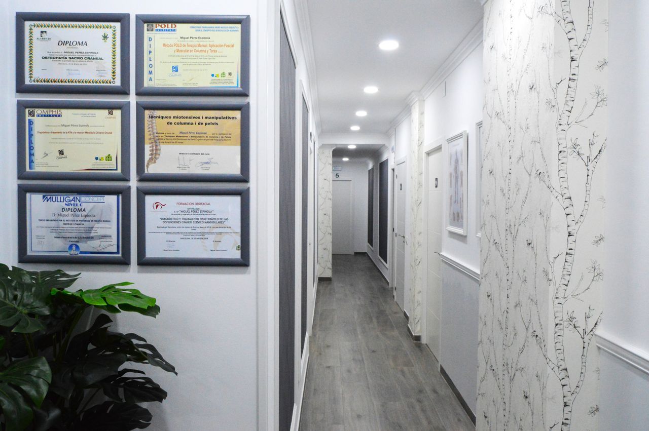 María Mercedes Giacunto-1