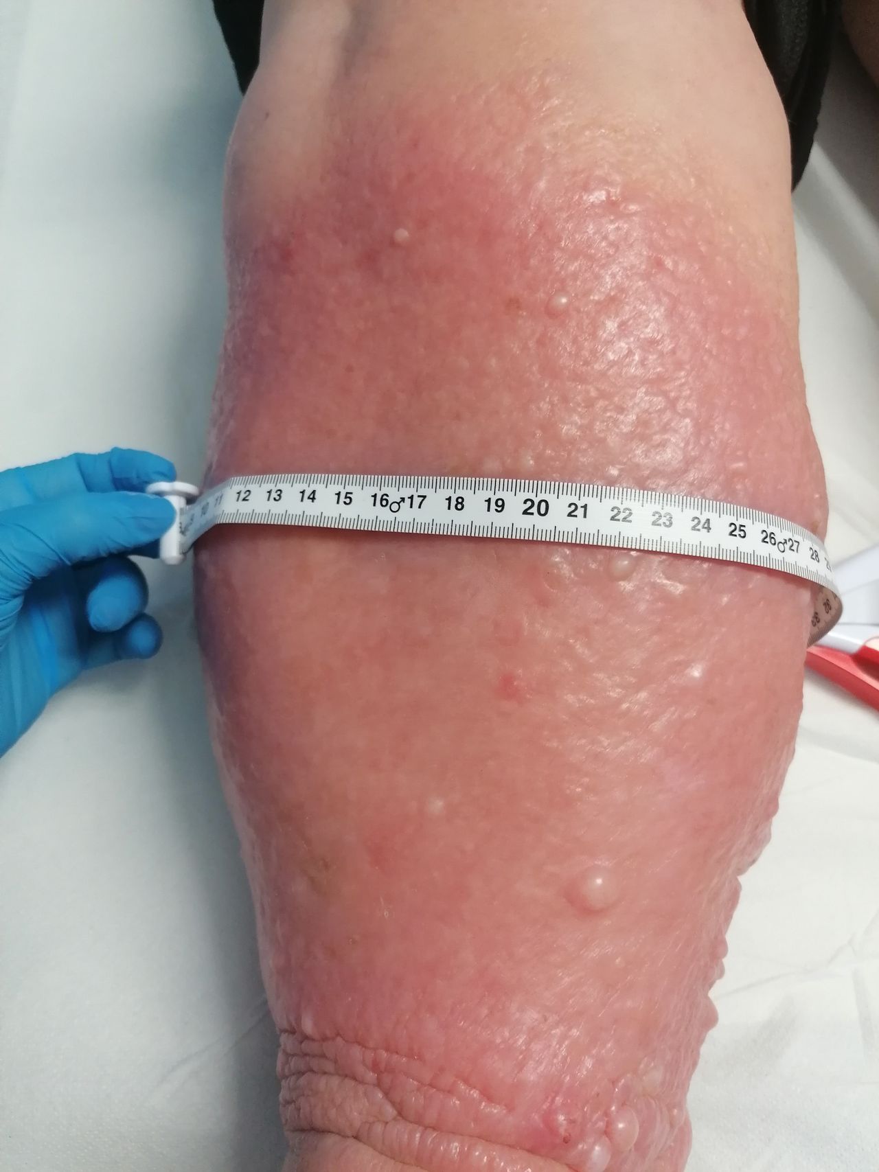 Kassandra Nicolosi-178