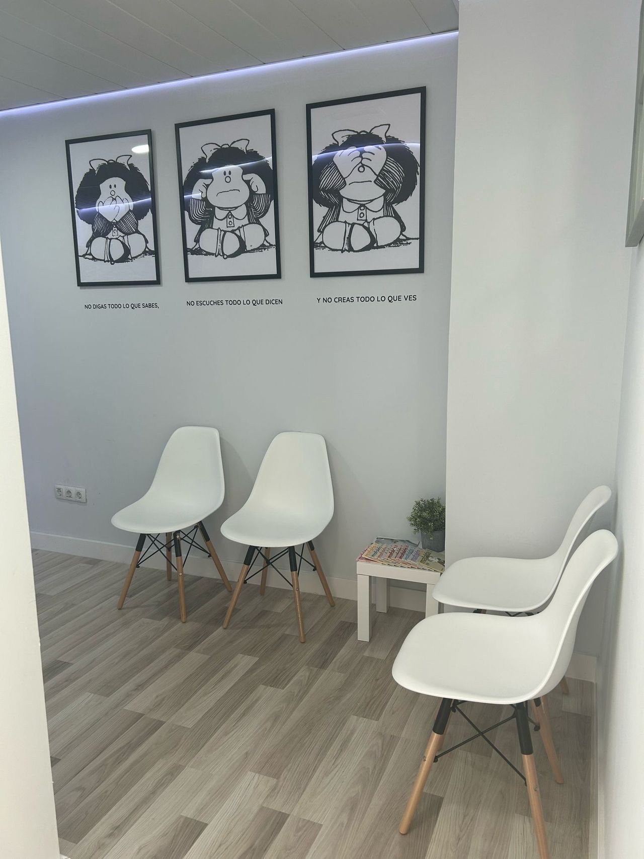 Sara Firgaira Fernández-3