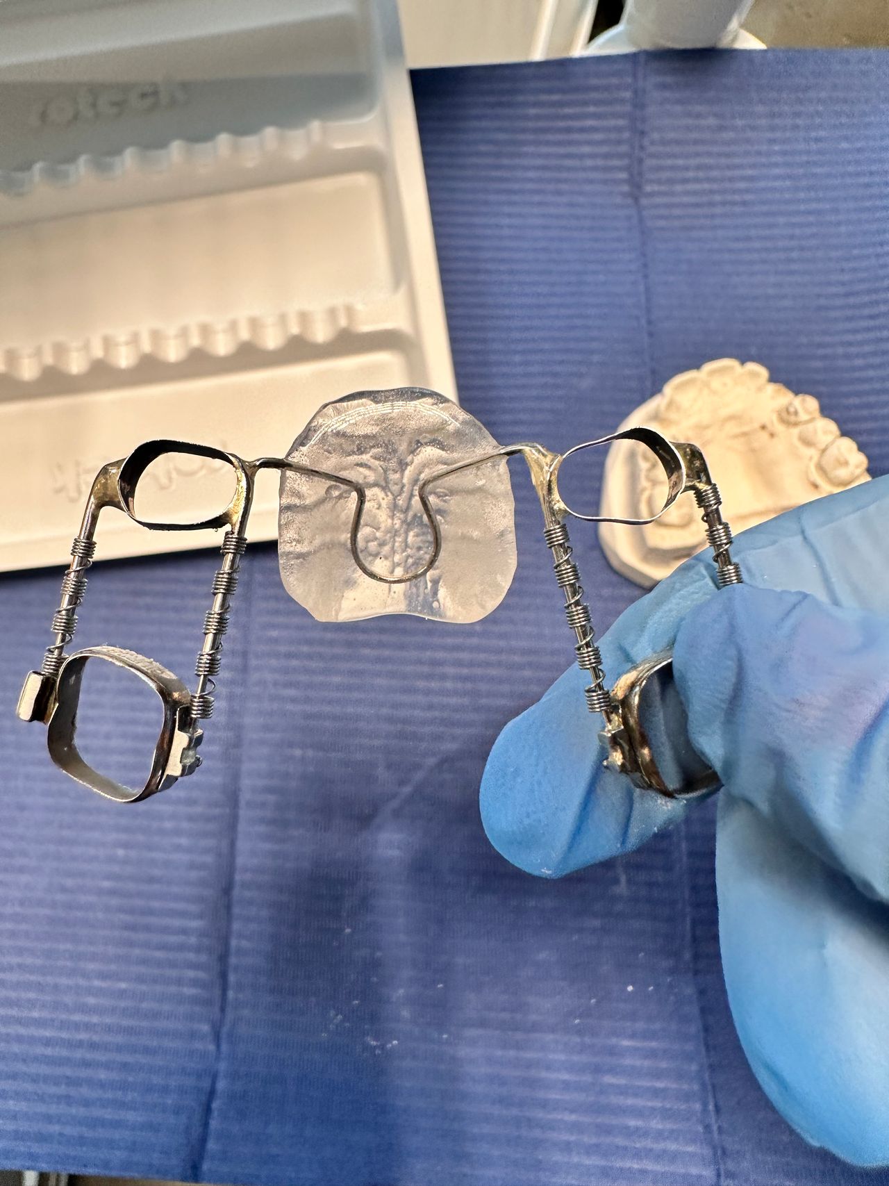 Hanna Petrashevich-17