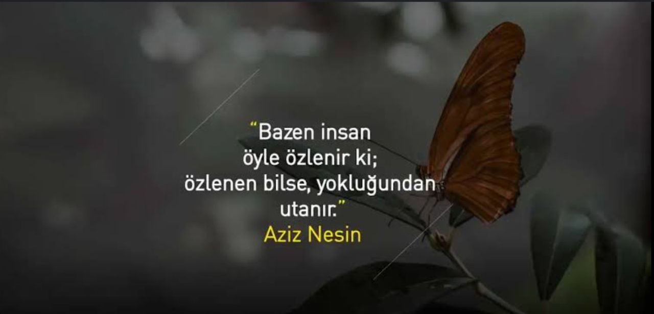 Ayşen Betül Okat-55