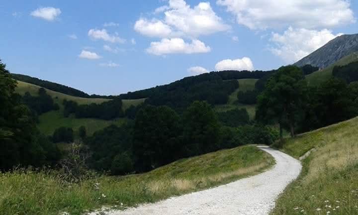 Michele Locuratolo-12