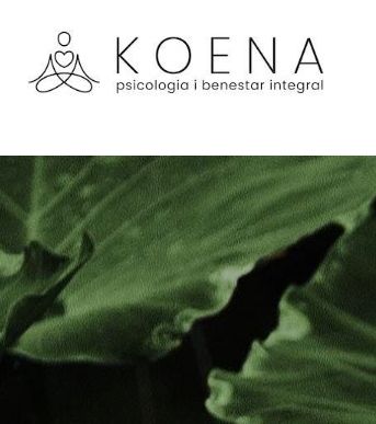 Mònica Valdueza Queraltó-2