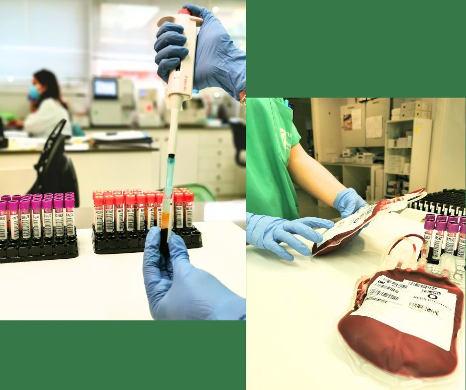 Saleh El Mahmoud Dajil-5