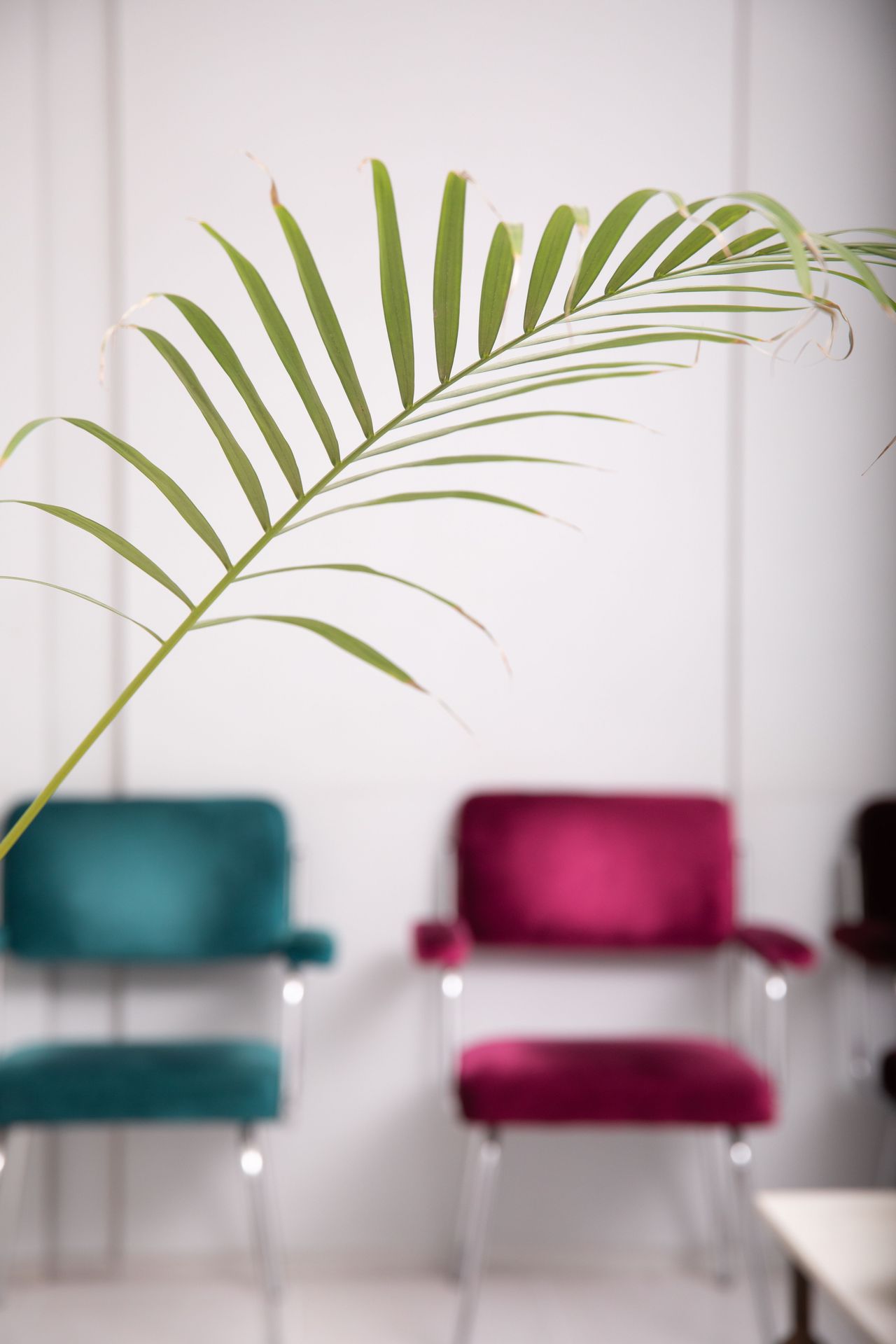 Nuria Pey Tena-Dávila-1