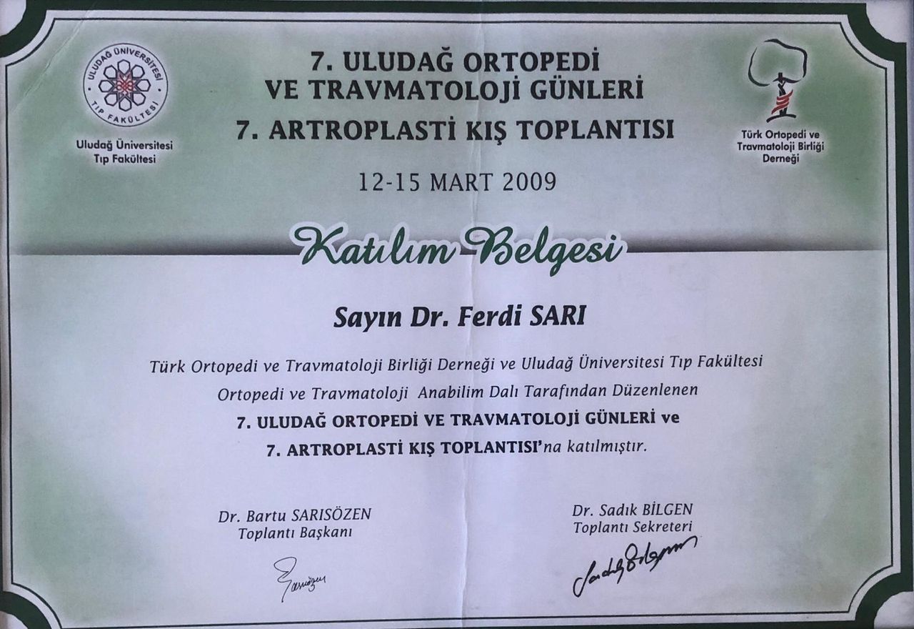 Ferdi Sarı-9