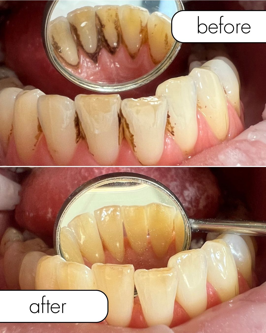 Oleksandra Chernykh-21