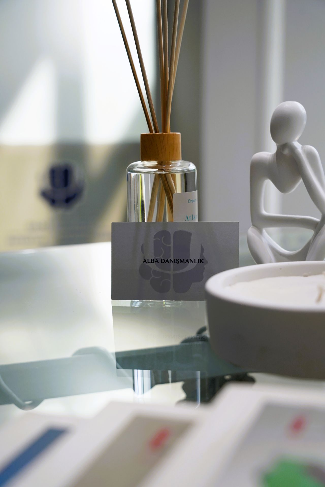 Aleyna Baran Özdilek-2