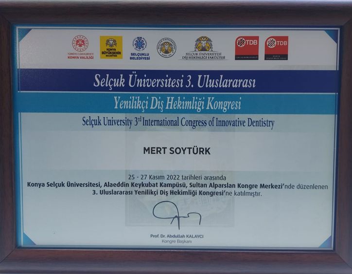 Mert Soytürk-0