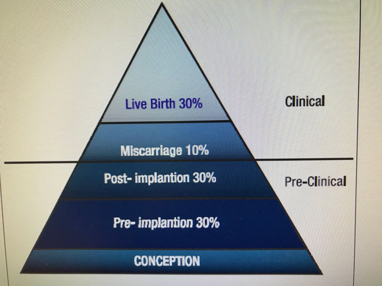 Grether Pérez Diaz-4