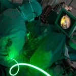 Jose E. Duarte Novo-1