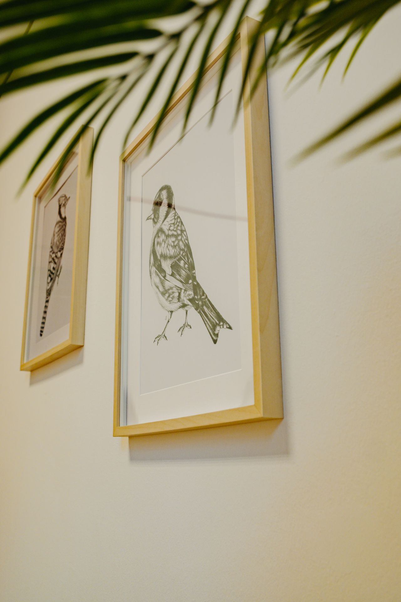 Mehe Torres Rodríguez-3