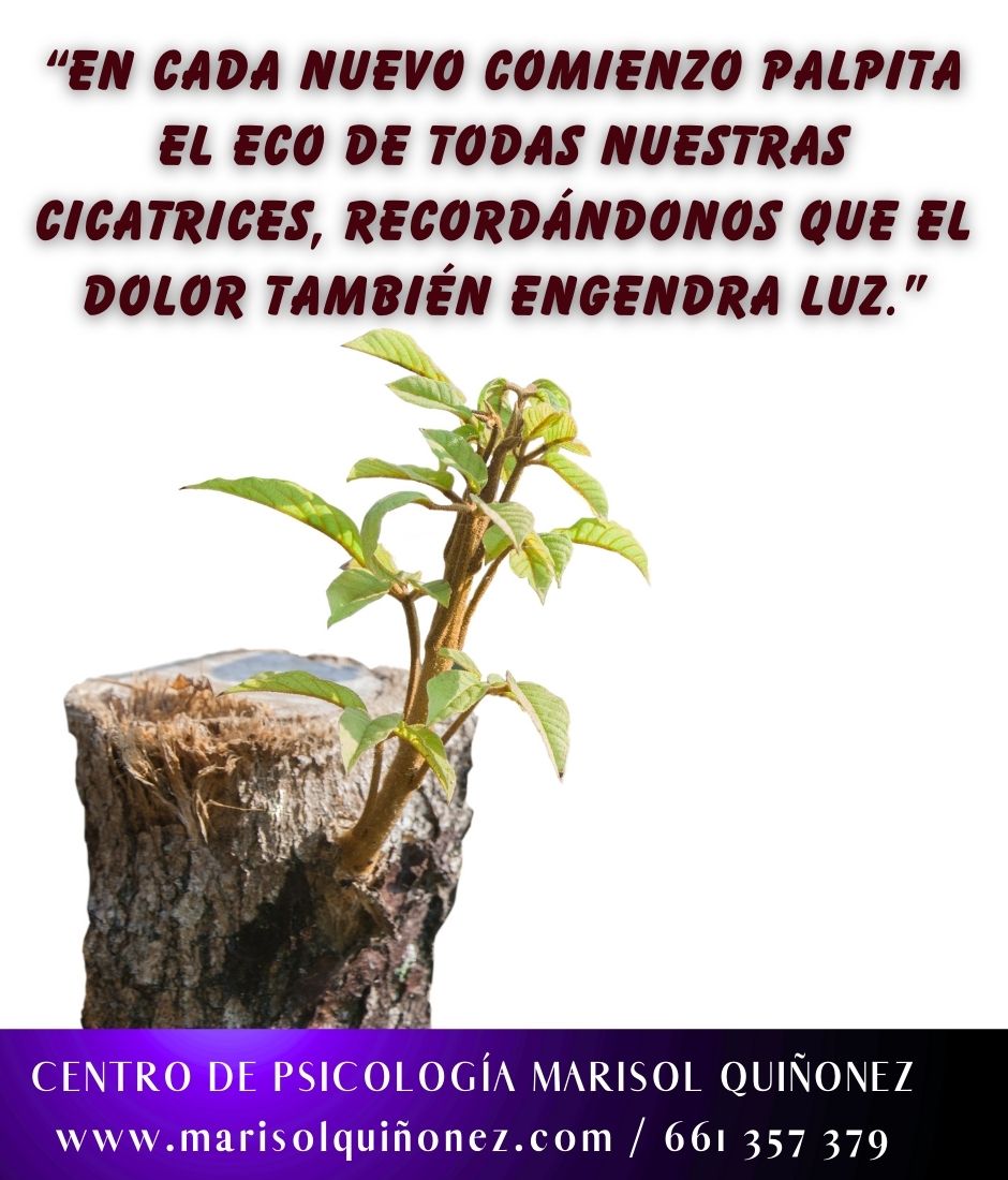 Marisol Quiñonez Quintero-131