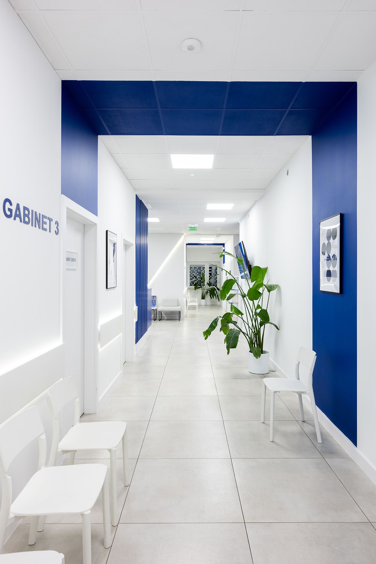 Agnieszka Aleksandra Krawczyk-1