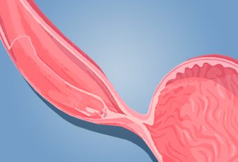 Antonio Gomez Ortega-3