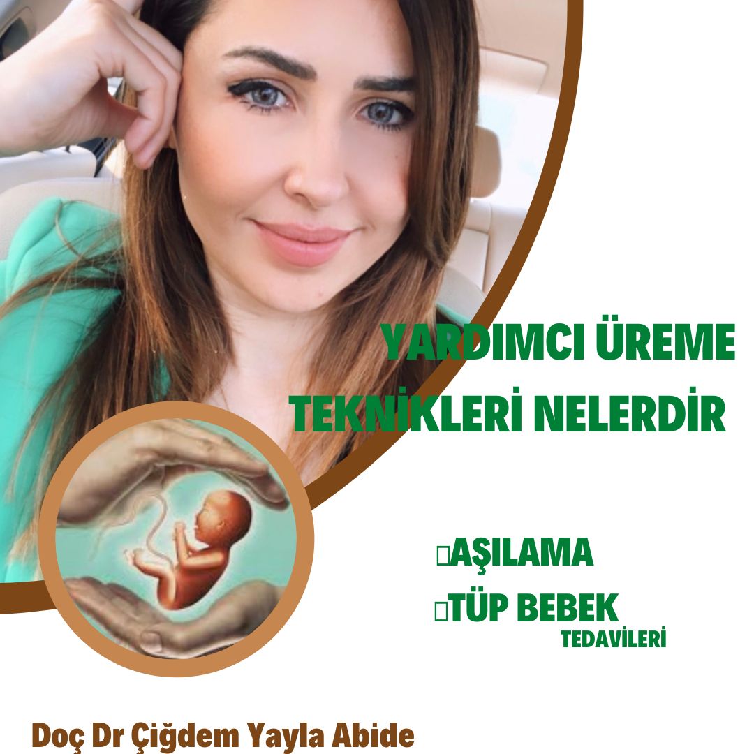 Çiğdem Yayla Abide-5