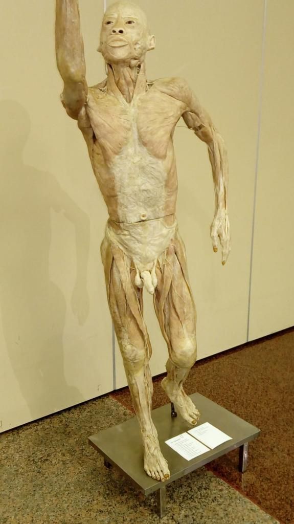 Francesco Chiarenza-17