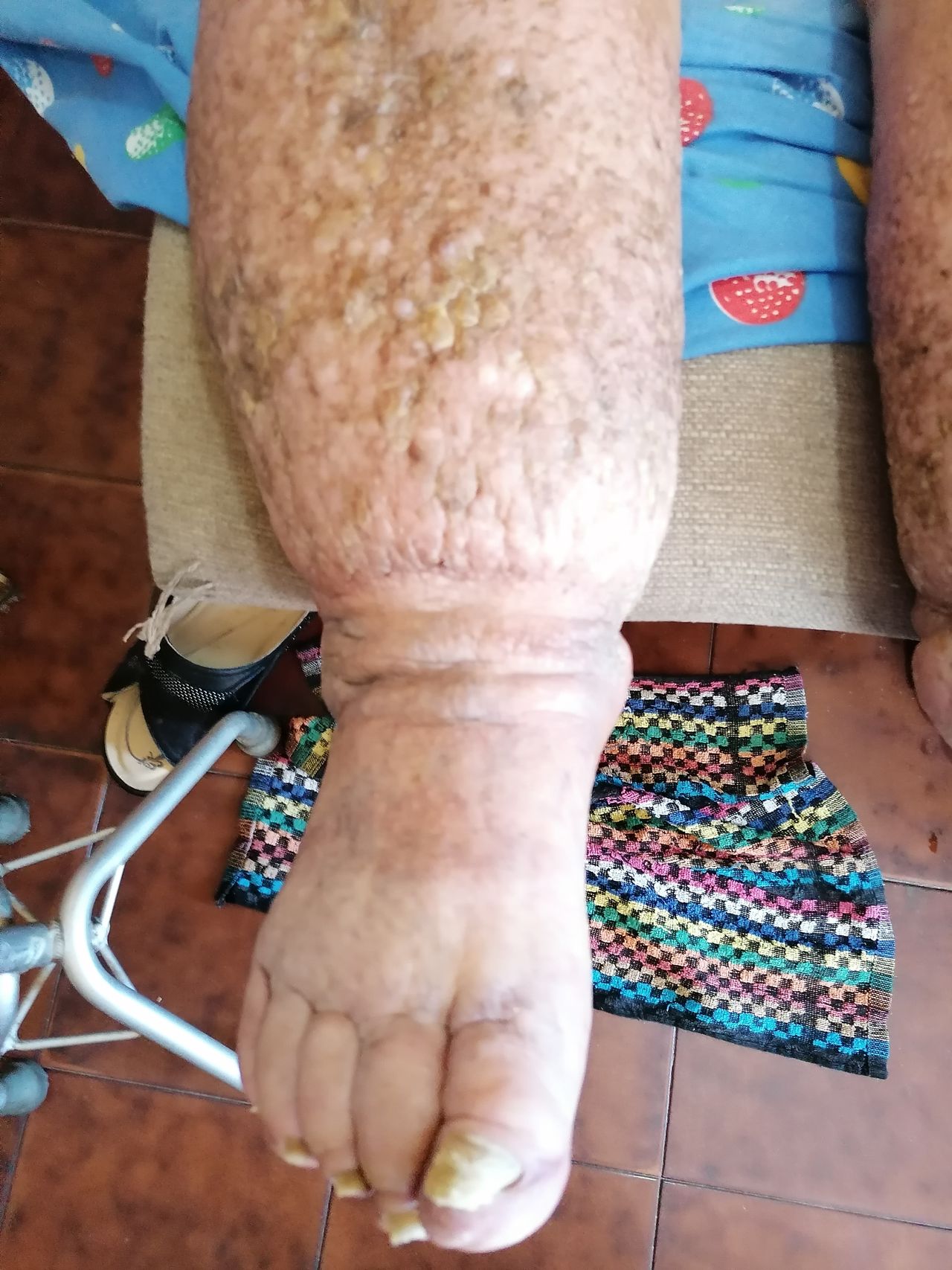 Kassandra Nicolosi-340