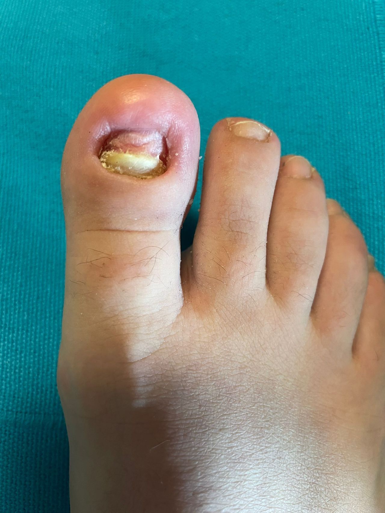 Kassandra Nicolosi-177