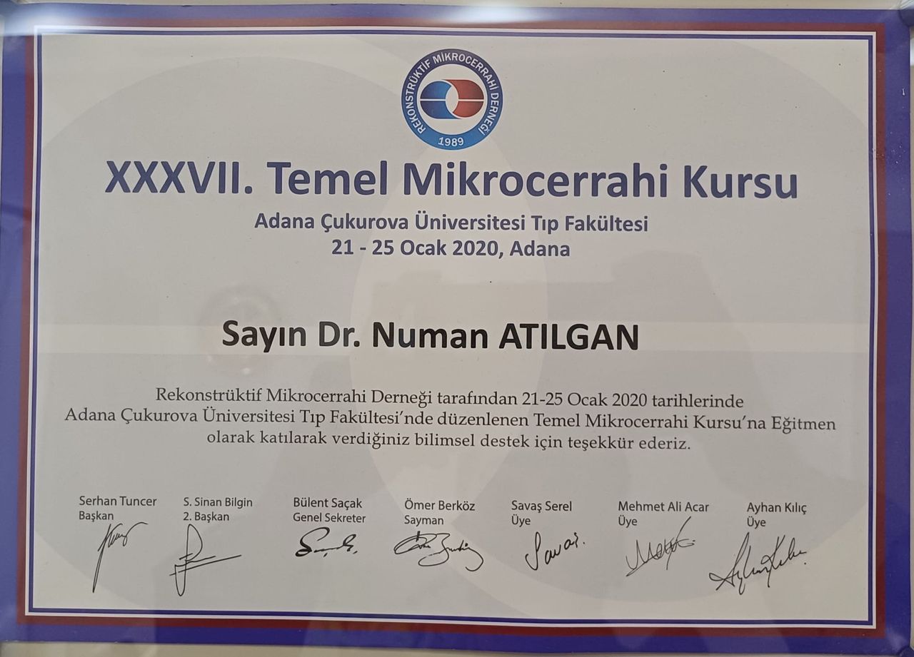Numan Atılgan-17