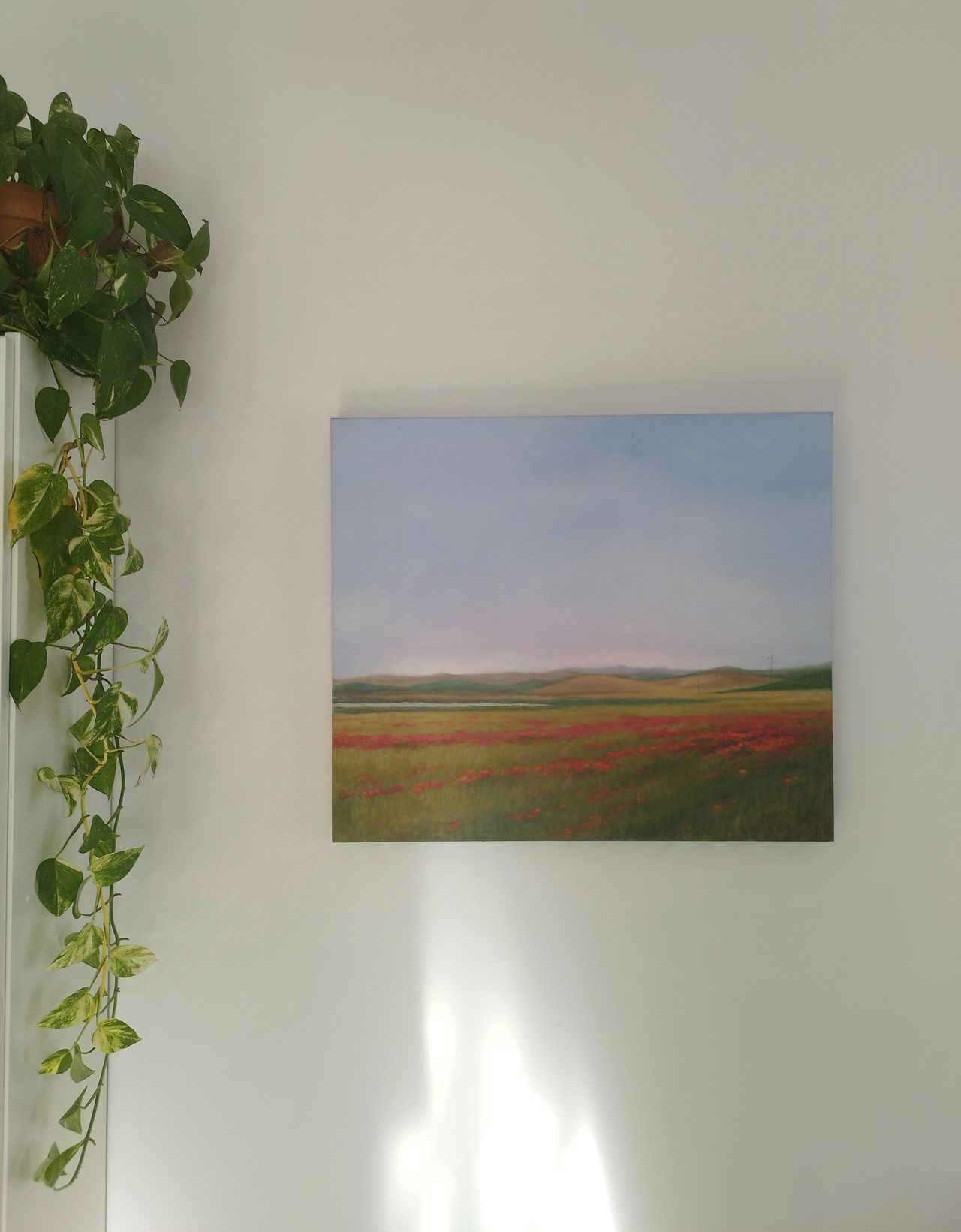 Fco. Javier Rodríguez Del Valle-18