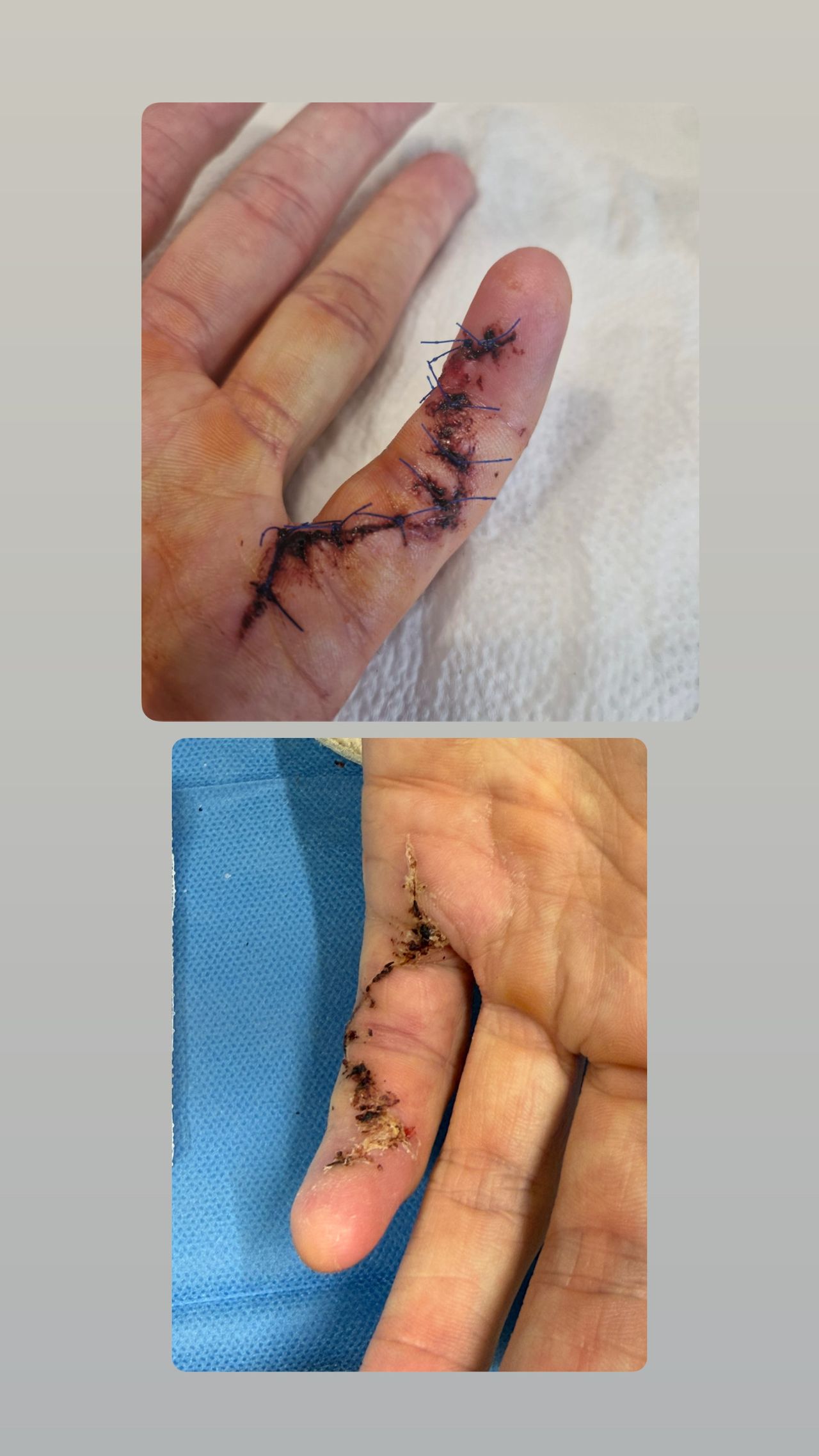 Weronika Joanna Kalamarska-9