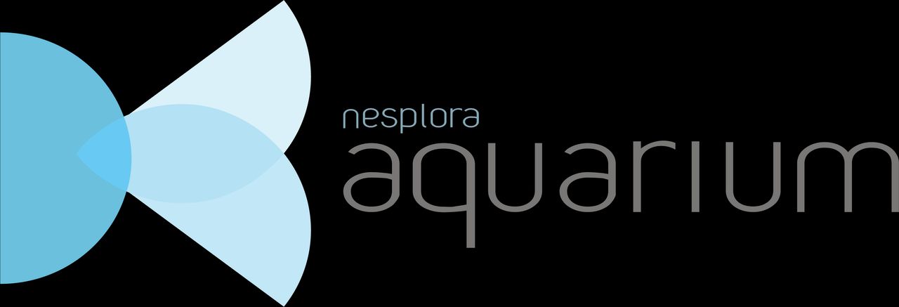 Margherita Ciciarelli-22