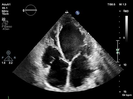 Vincenzo Castiglione-0