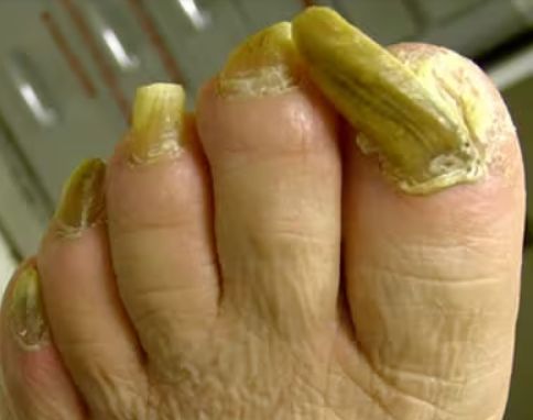 Francesca Montaquila-3