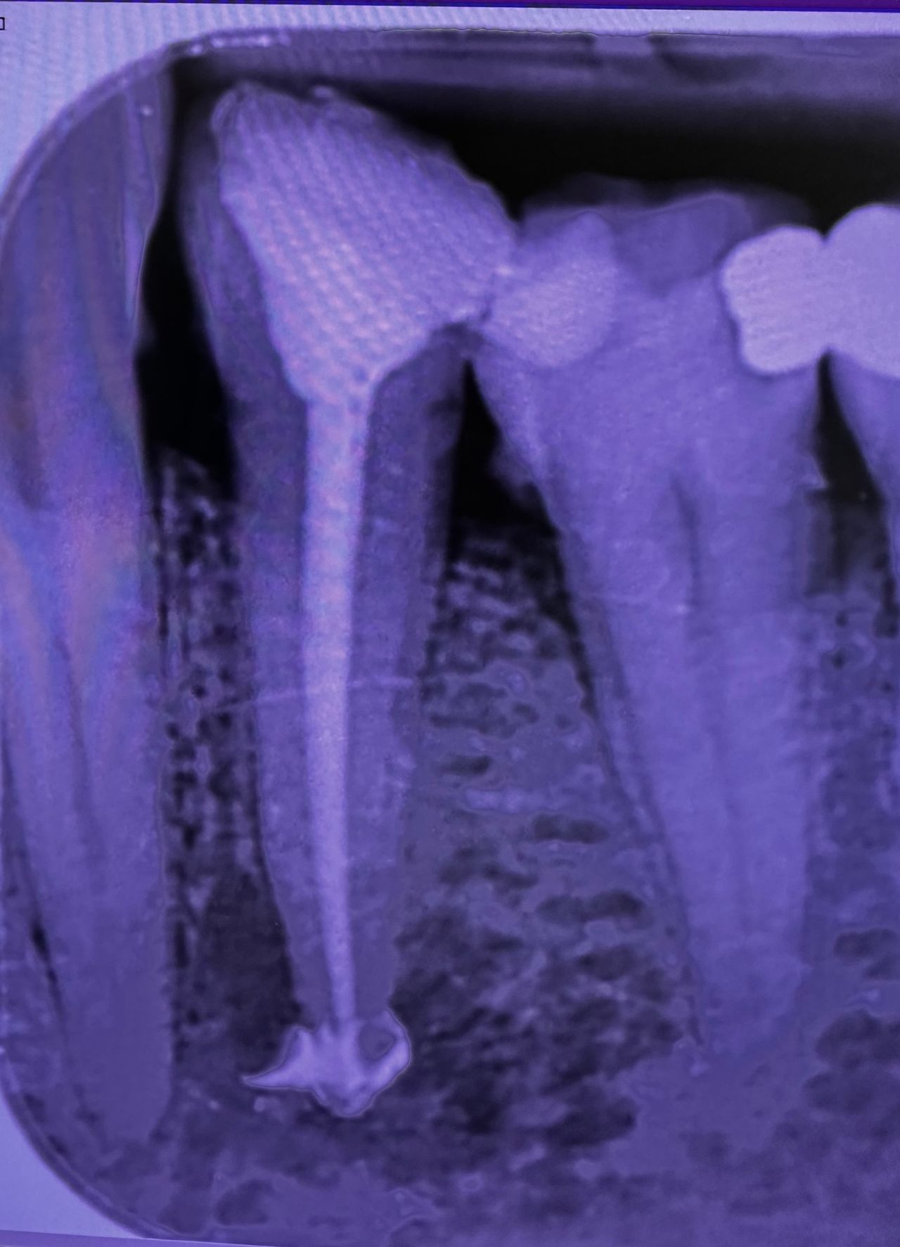 Carlo Andrea Rizzi-0