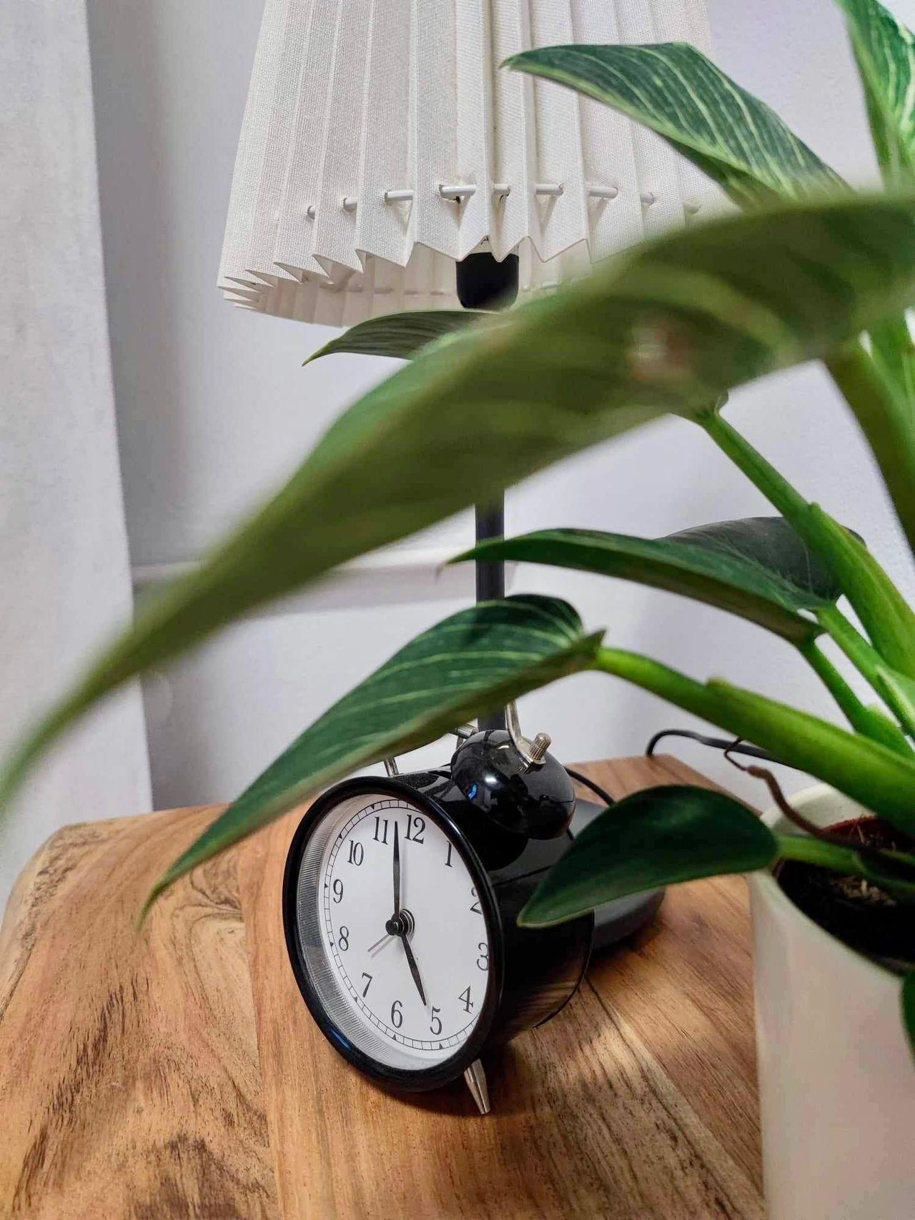 Marta Kalinowska-Kich-3