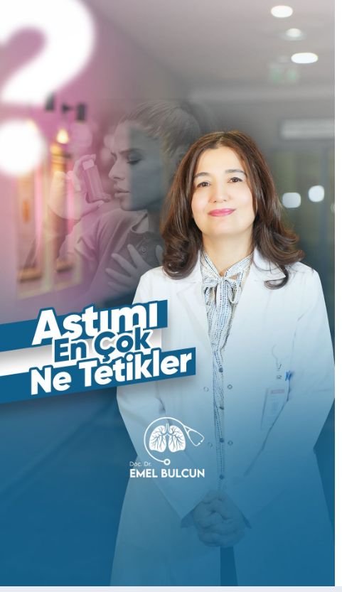 Emel Bulcun-2