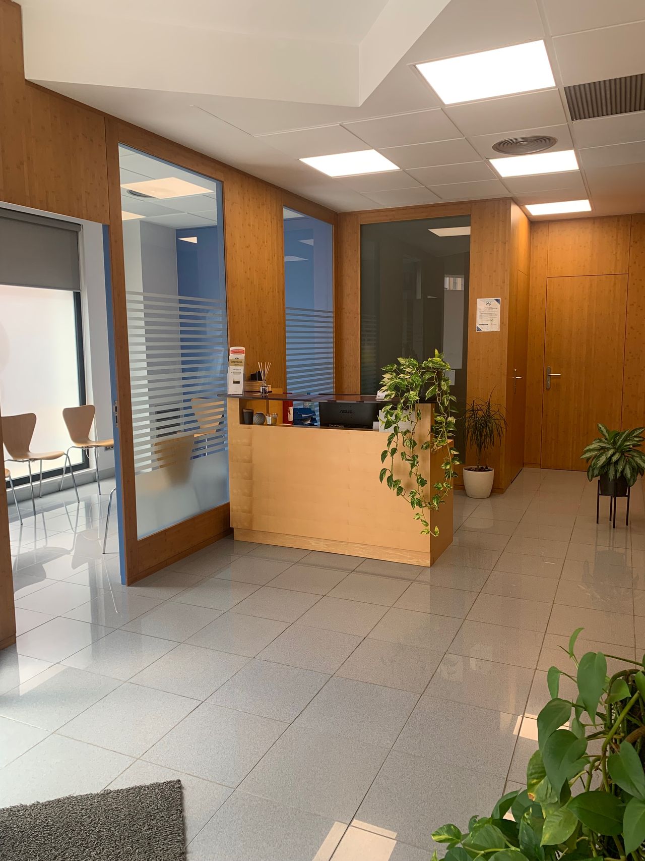 Blanca Villarroya Font-0