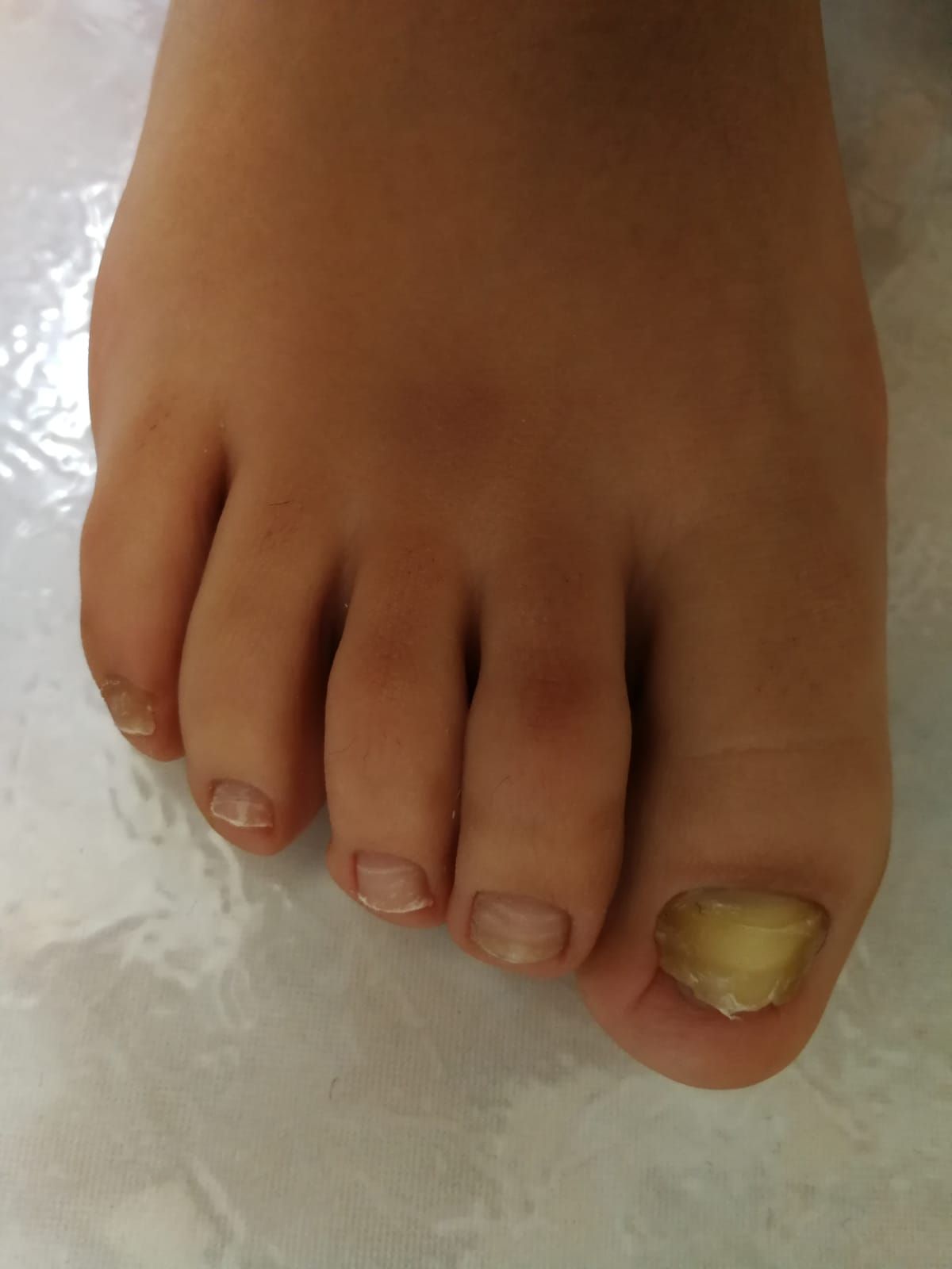 Kassandra Nicolosi-138