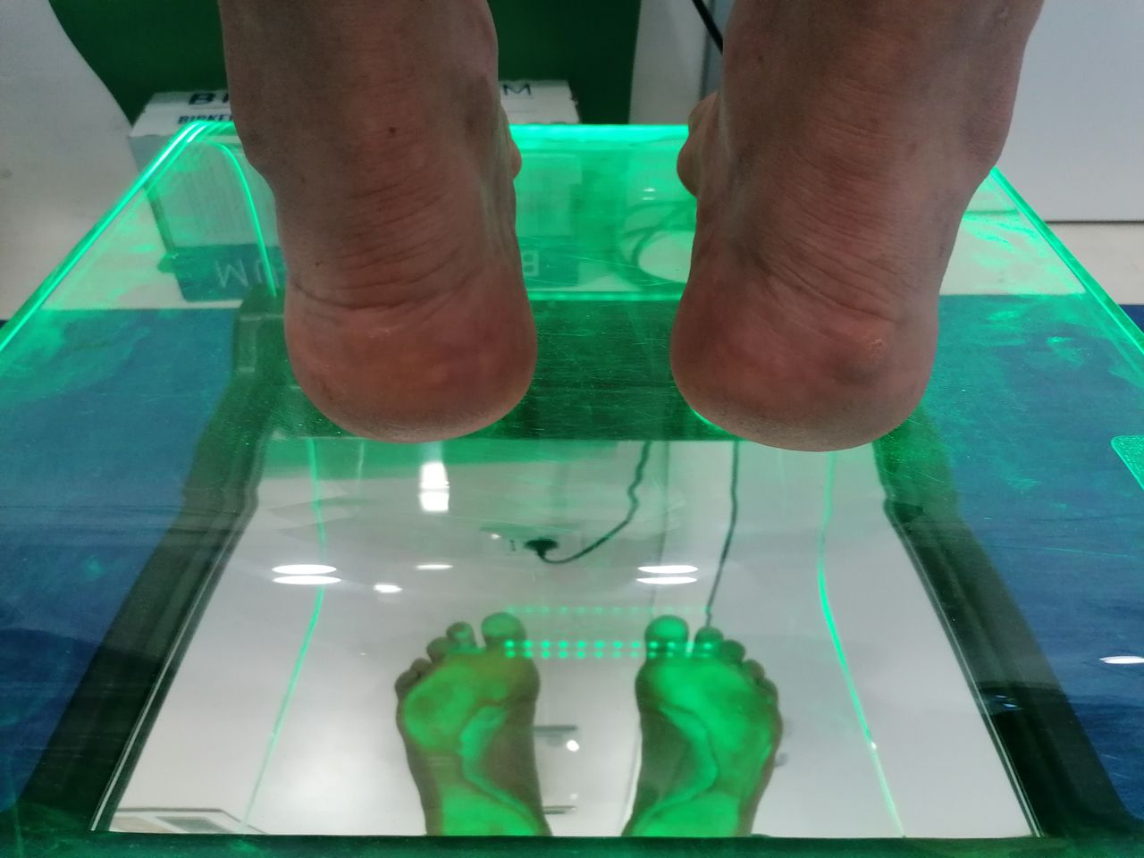 Kassandra Nicolosi-103