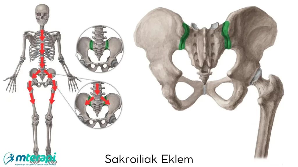 İbrahim Babayigit-16