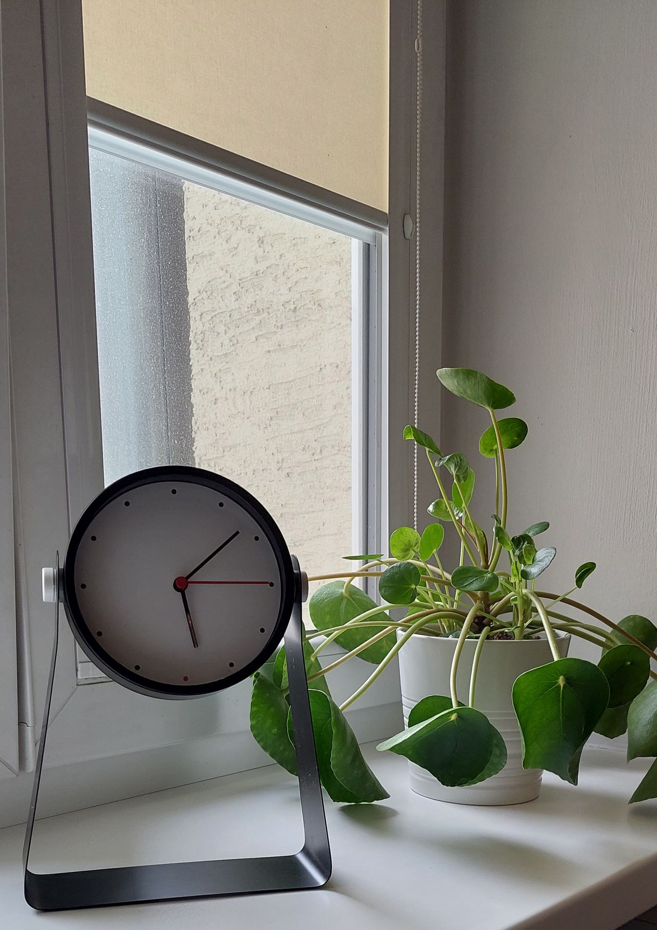 Justyna Goszczyńska-Prokopowicz-4