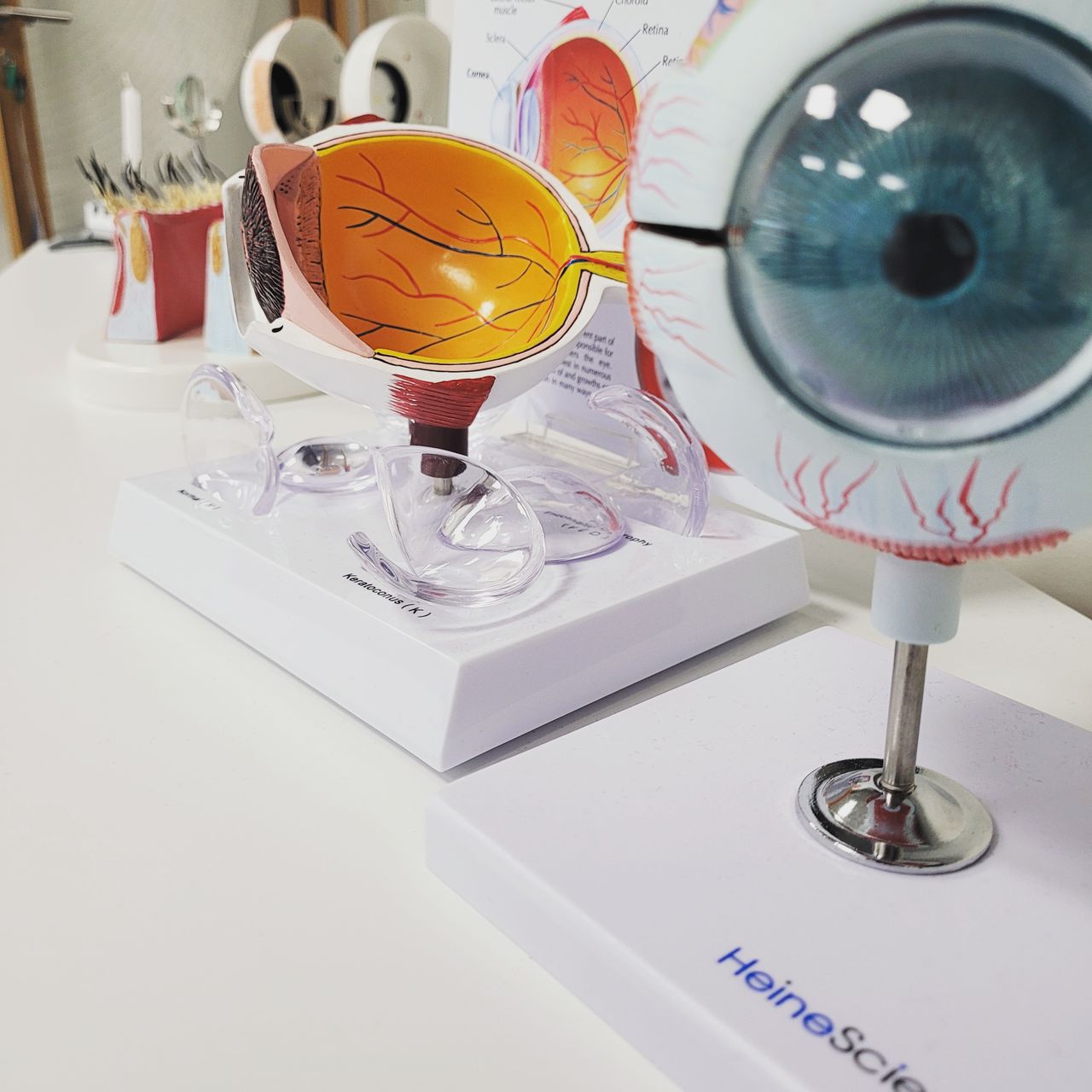 Magdalena Zielińska-4