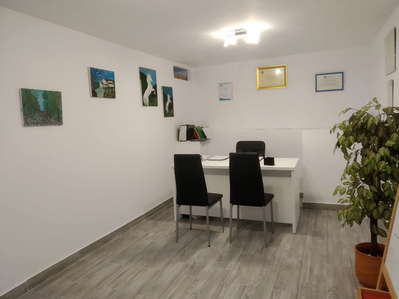 Alicia Garrido Guillen-4