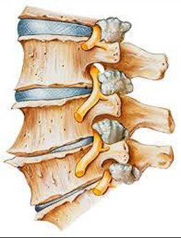 Alessandra Isidori-8