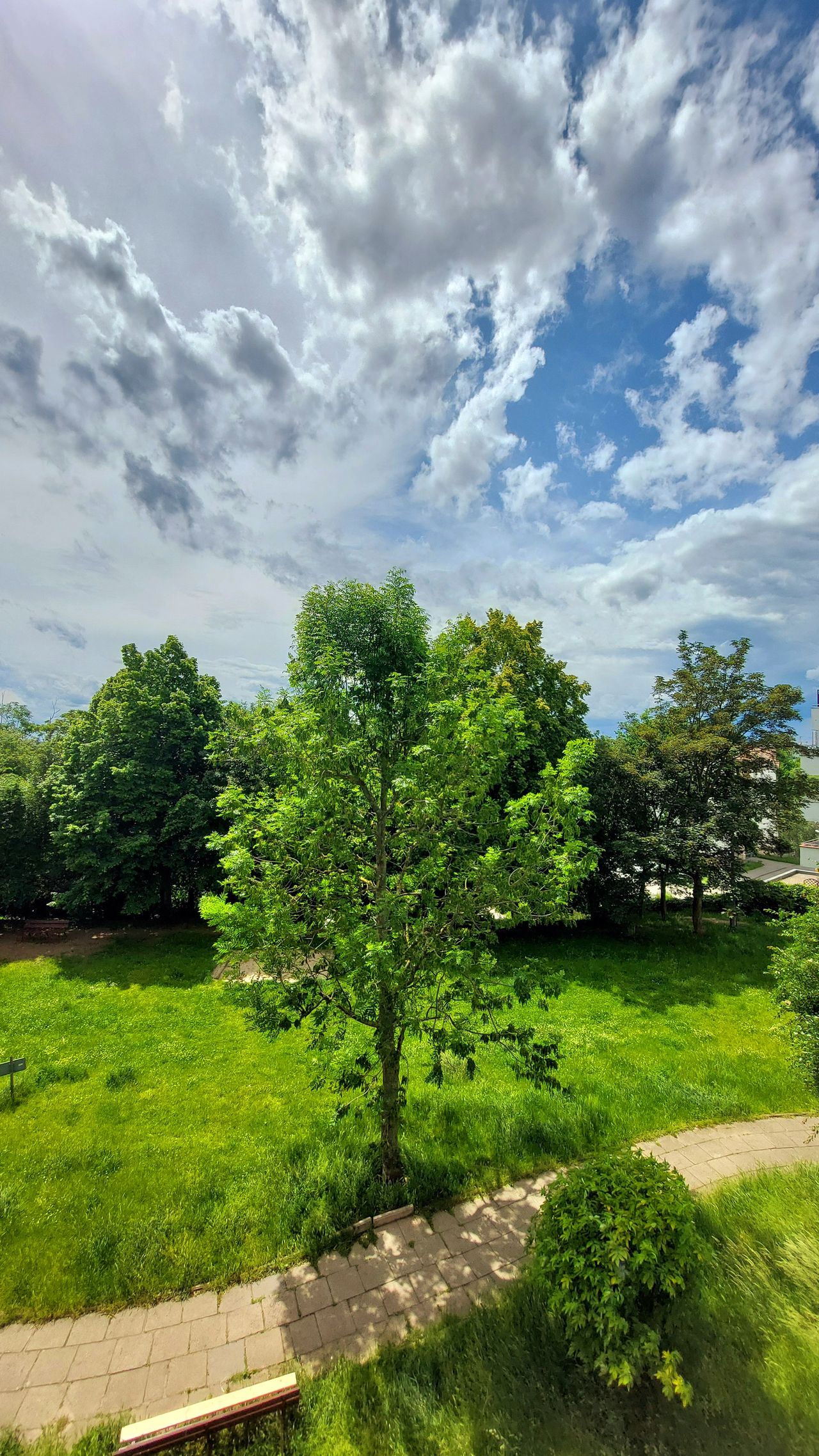 Katarzyna Ciarkowska-3