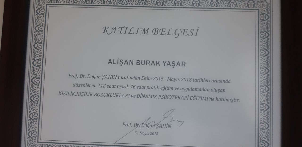 Alişan Burak Yaşar-5