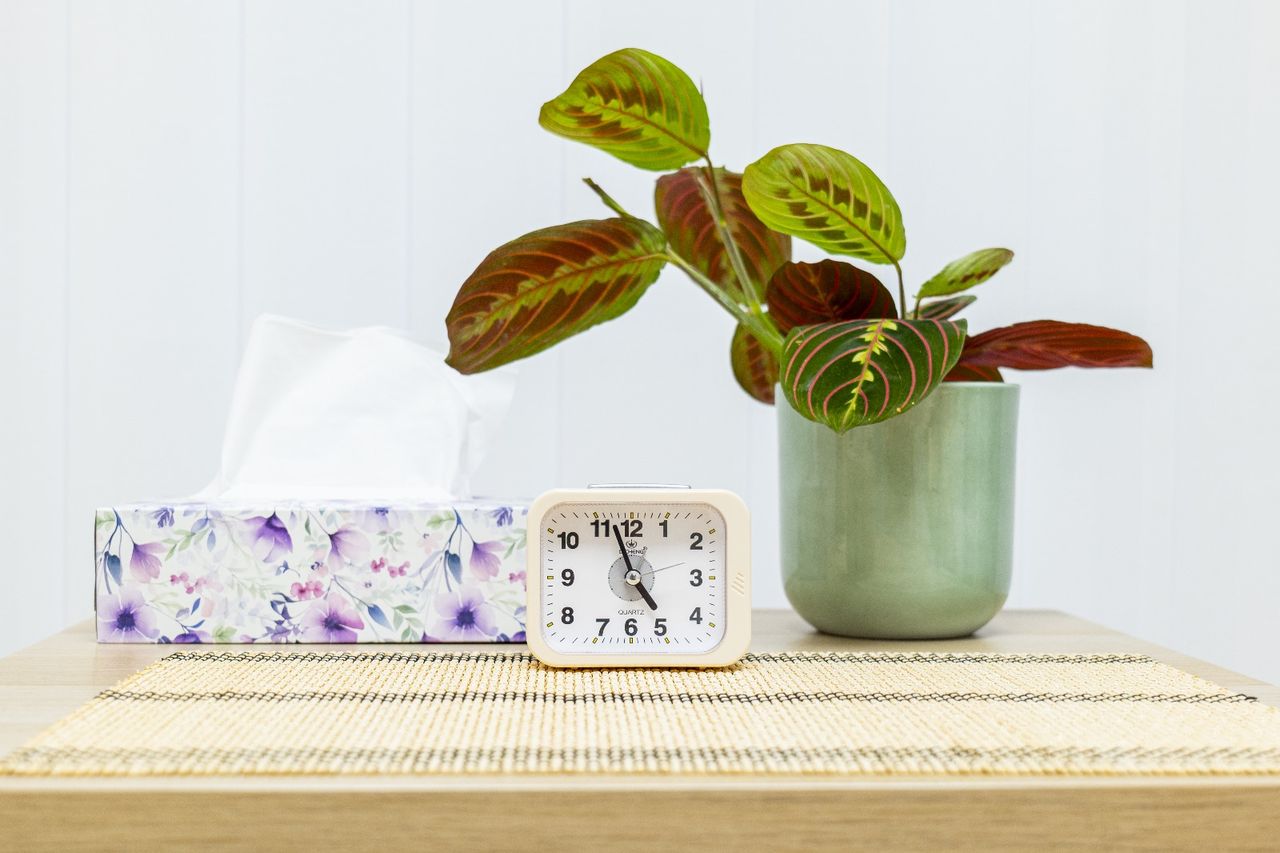 Leonor Ocaña Rios-4