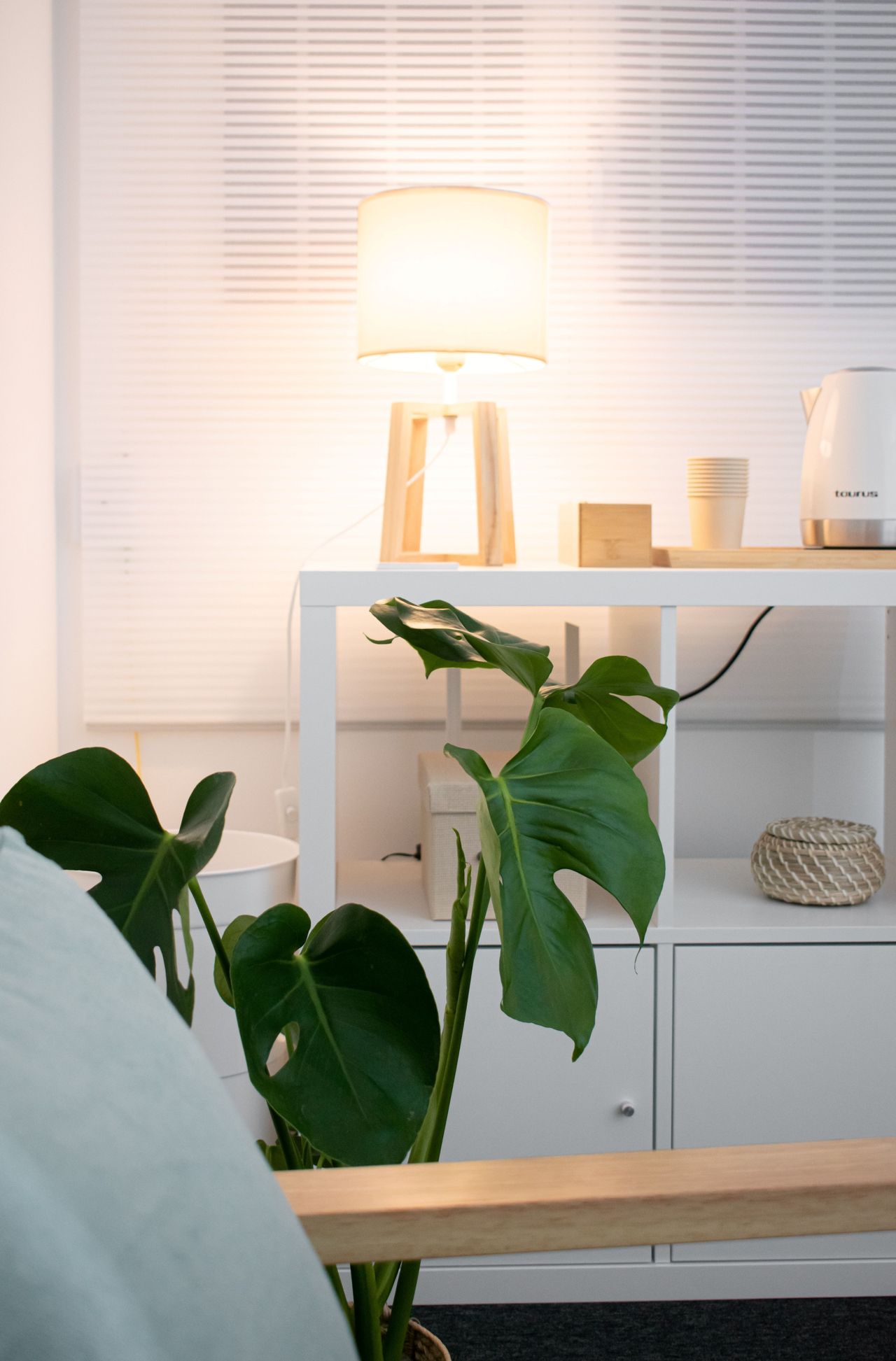 Clara Cordero Fernádez-6