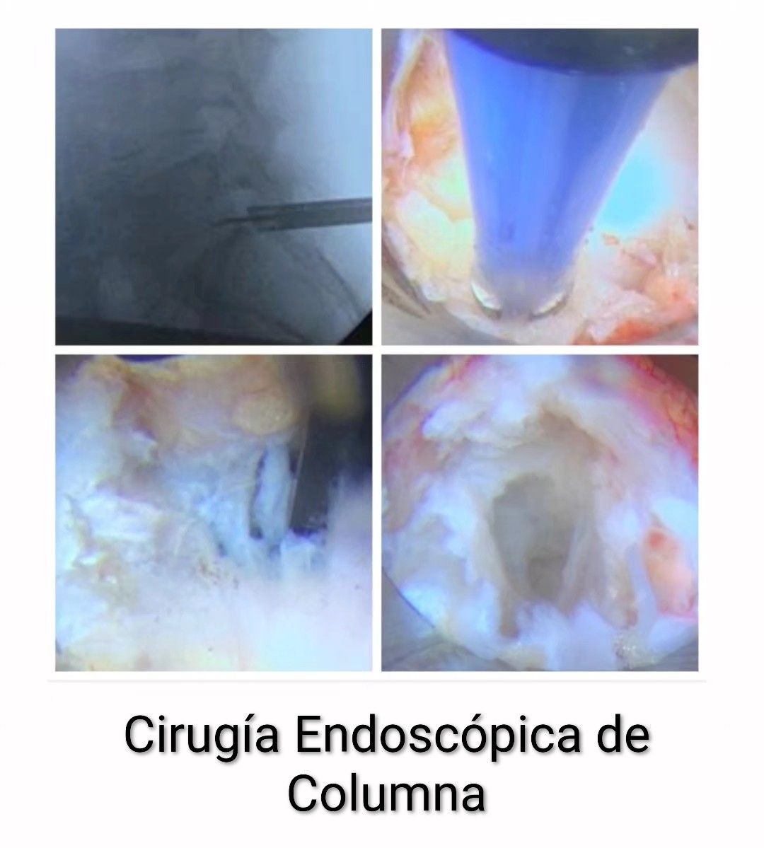 Jorge H. Nuñez-4