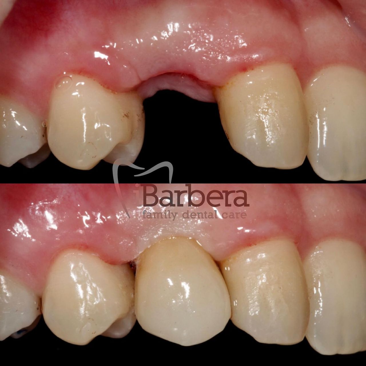 Gaetano Arduino Barbera-16