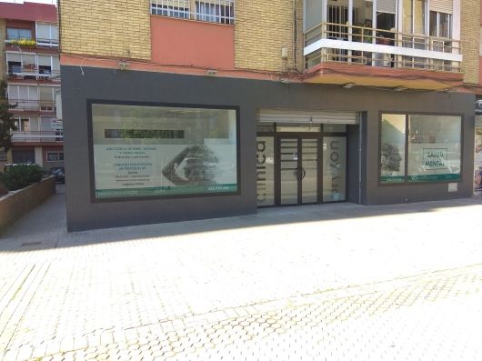 Olga Rodríguez García-2