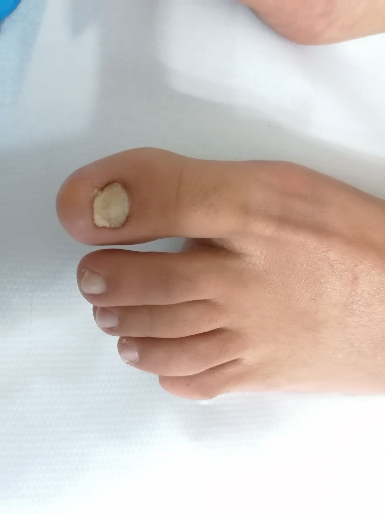 Kassandra Nicolosi-323